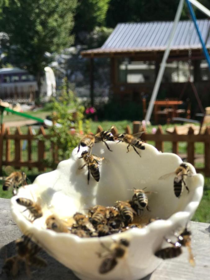 Bujtina Izet Selimaj Otel Valbone Dış mekan fotoğraf